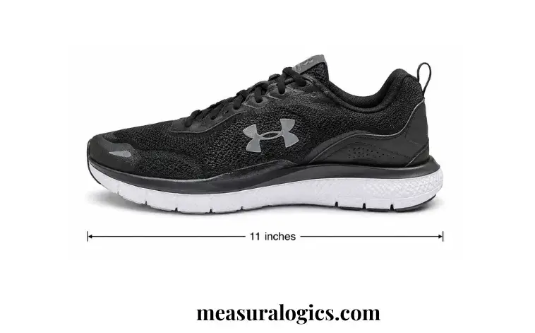 A Men's Size 11 Shoe (Length)