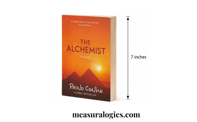 A Paperback Book