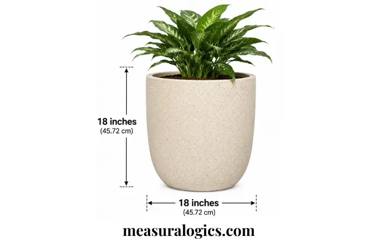 An 18-Inch Plant Pot