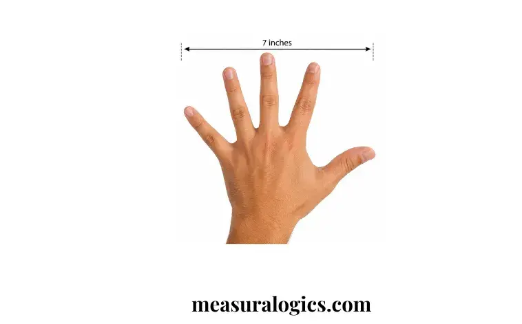 An Adult Hand Span