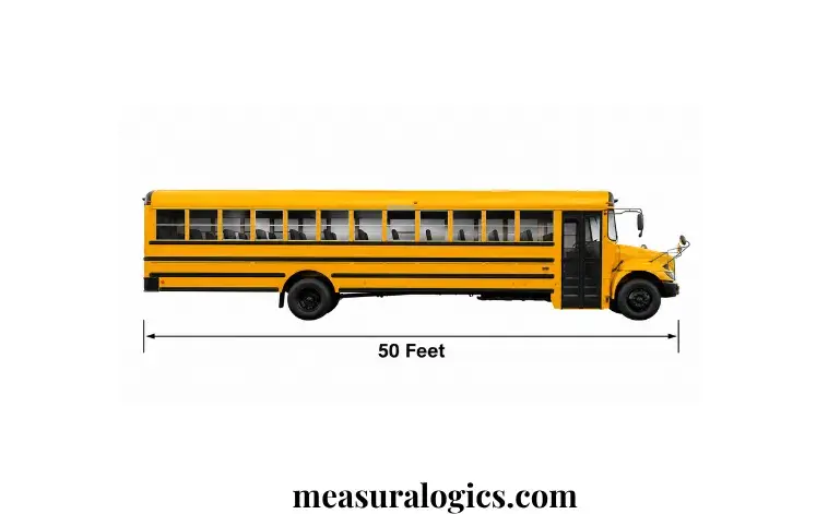 School Bus
