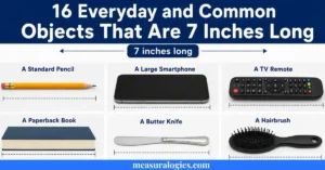 Common Objects That Are 7 Inches Long
