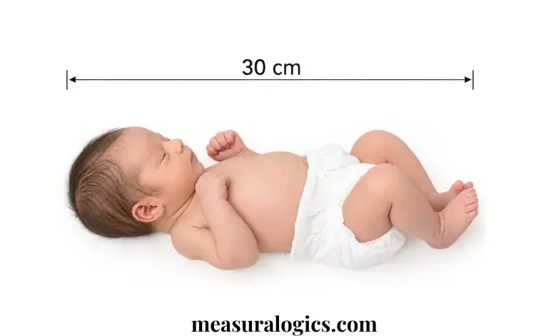 A Newborn Baby’s Length at Birth (Roughly Half)