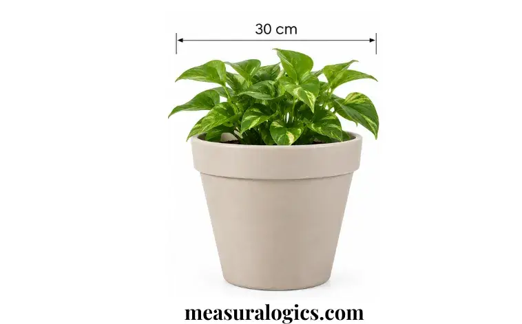 A Standard Plant Pot (Medium Size)