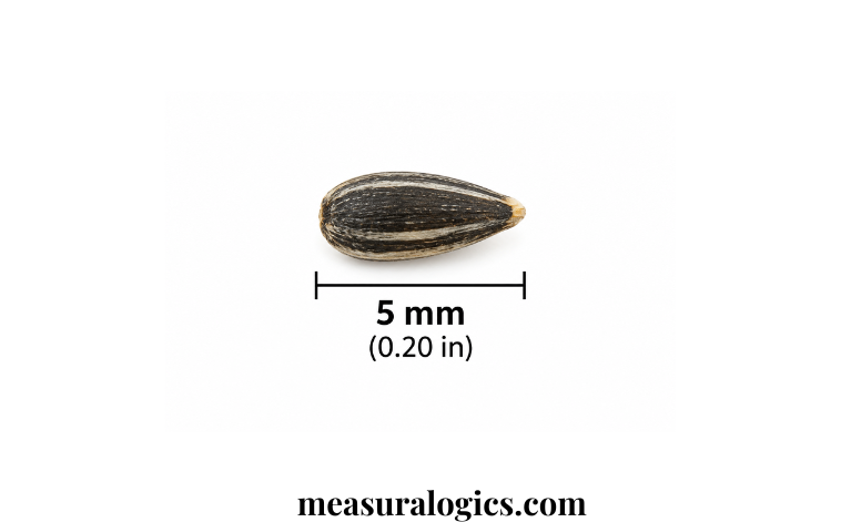 Small Seed Length