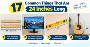 Things That Are 24 Inches Long